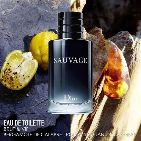 dior sauvage eau de toilette notes|Dior Sauvage priceline.